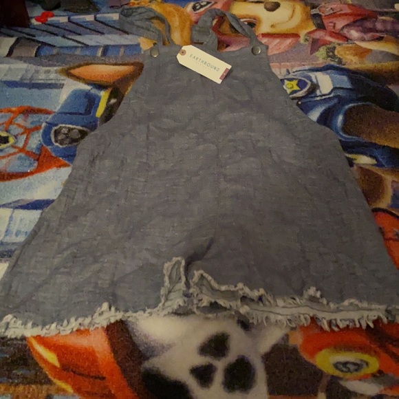 Earthbound trading co. loose overall jumper (shorts) - Picture 4 of 6
